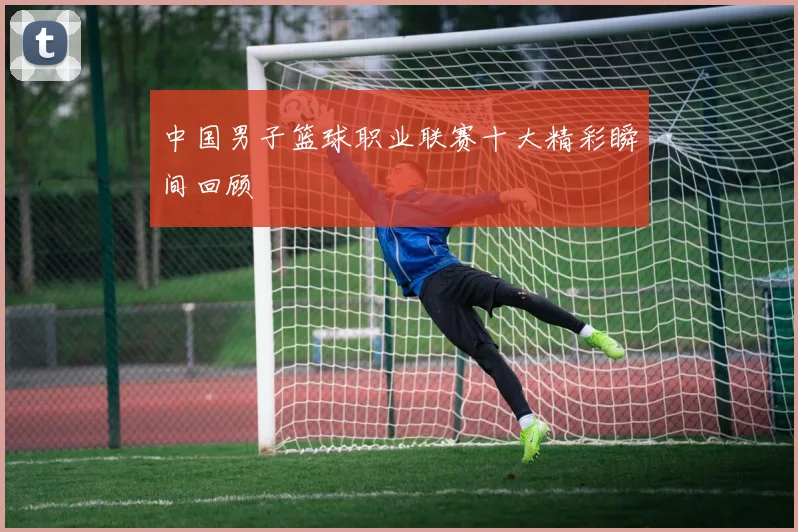 中国男子篮球职业联赛十大精彩瞬间回顾